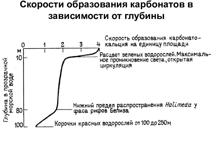 Скорости образования карбонатов в зависимости от глубины