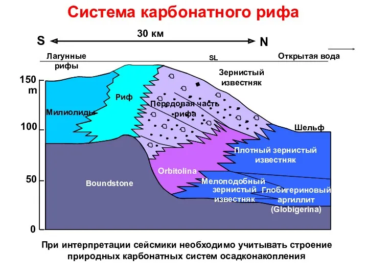 150 100 50 0 m Boundstone Милиолиды Риф Передовая часть