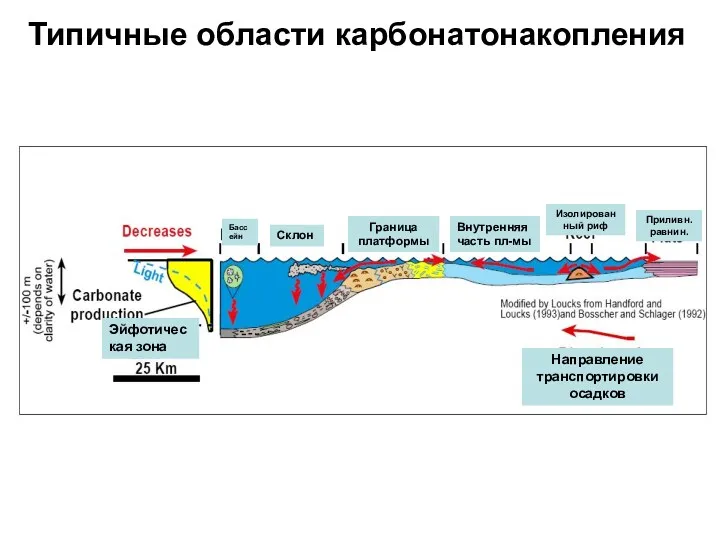 Типичные области карбонатонакопления Эйфотическая зона Бассейн Склон Граница платформы Внутренняя