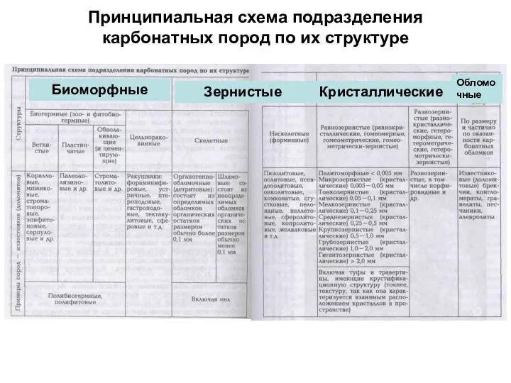 Принципиальная схема подразделения карбонатных пород по их структуре Биоморфные Зернистые Кристаллические Обломочные