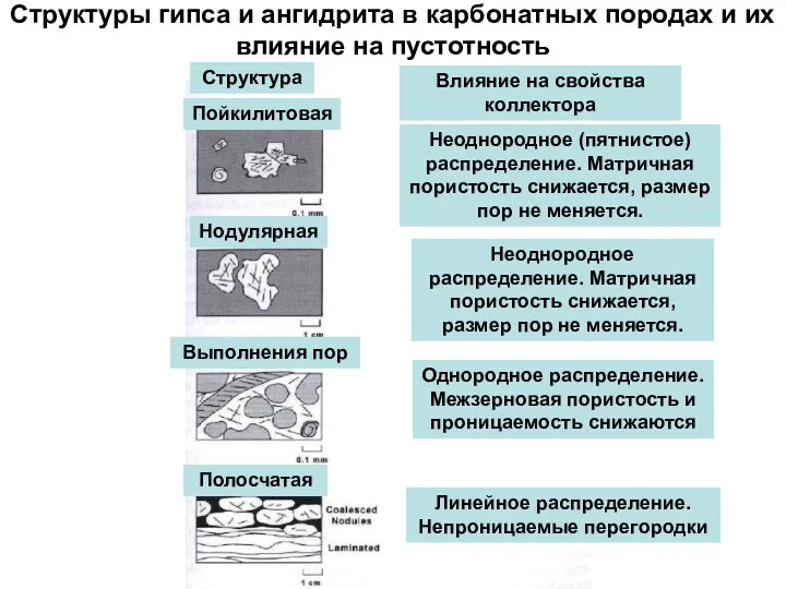 Структуры гипса и ангидрита в карбонатных породах и их влияние