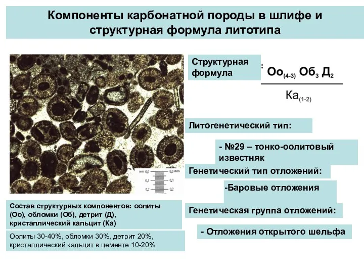 Компоненты карбонатной породы в шлифе и структурная формула литотипа Структурная