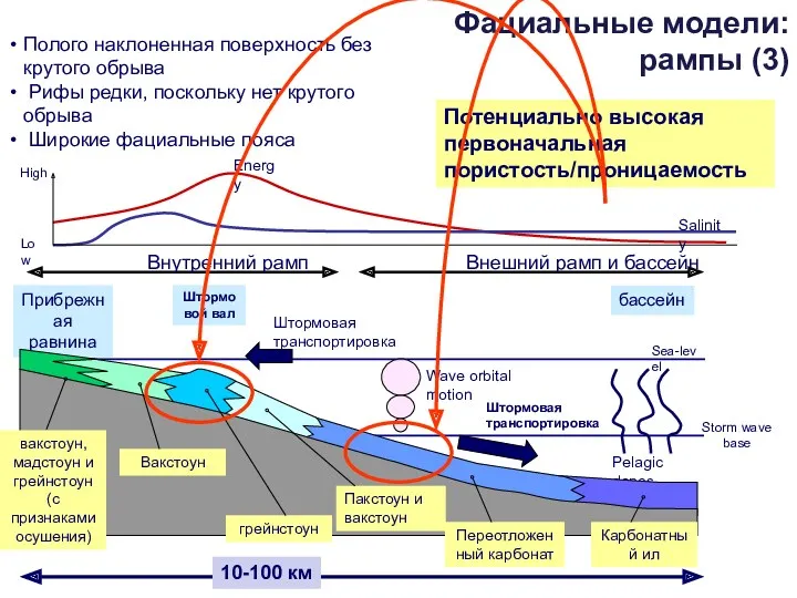 Sea-level Полого наклоненная поверхность без крутого обрыва Рифы редки, поскольку