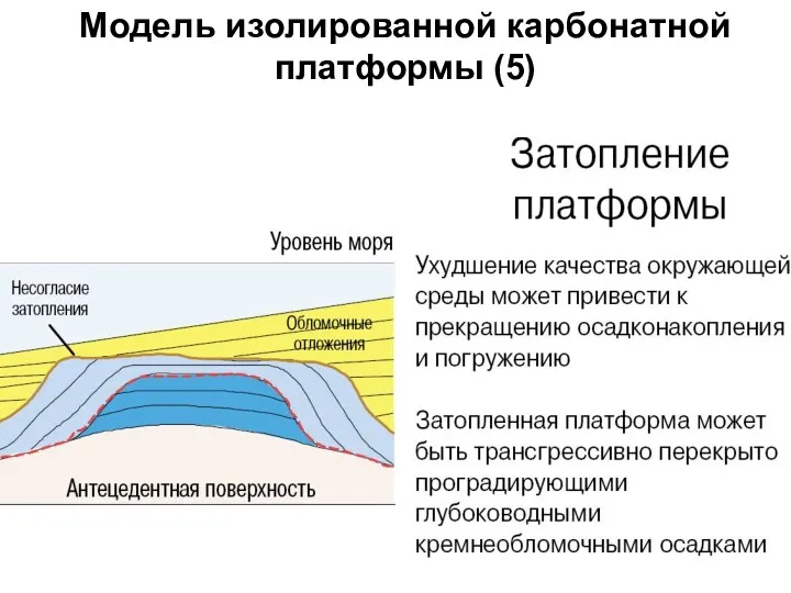 Модель изолированной карбонатной платформы (5)