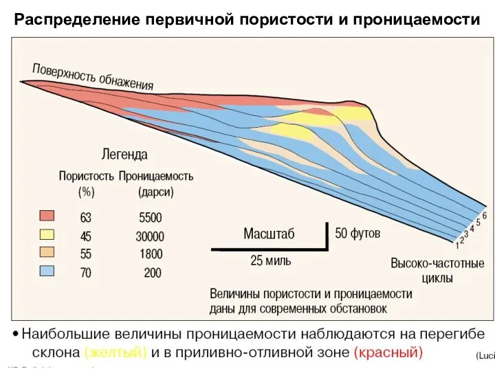 Распределение первичной пористости и проницаемости