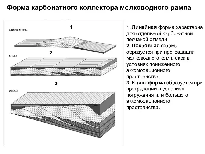 Форма карбонатного коллектора мелководного рампа 1. Линейная форма характерна для