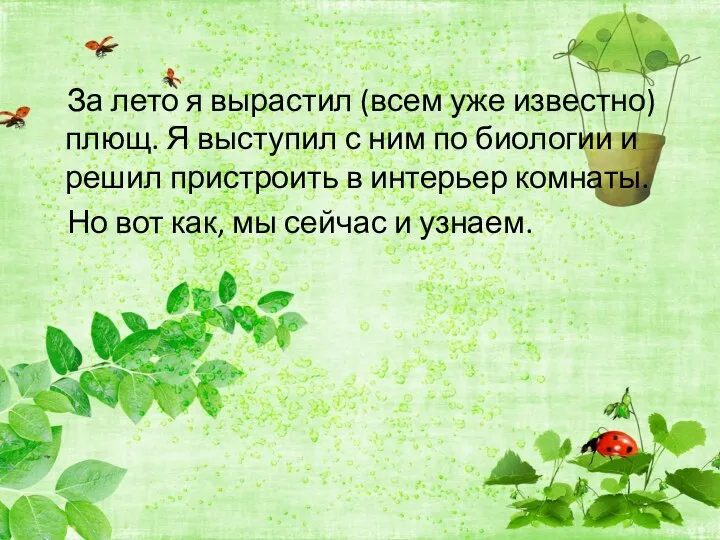 За лето я вырастил (всем уже известно) плющ. Я выступил