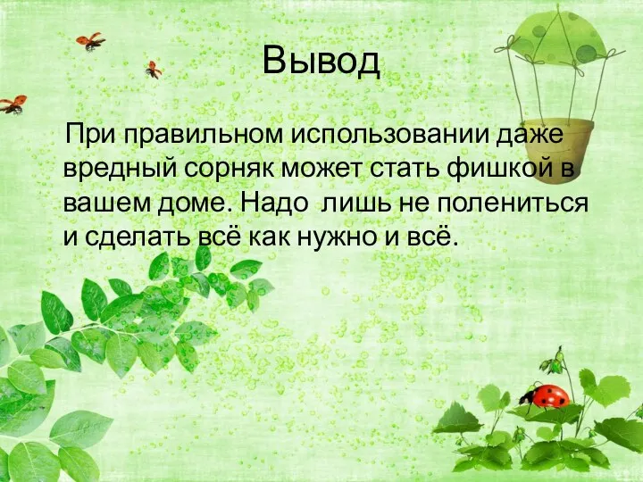 Вывод При правильном использовании даже вредный сорняк может стать фишкой