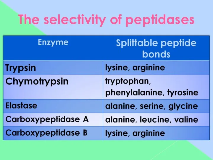 The selectivity of peptidases