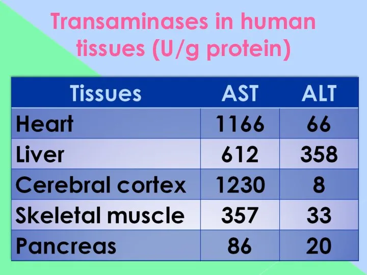 Transaminases in human tissues (U/g protein)