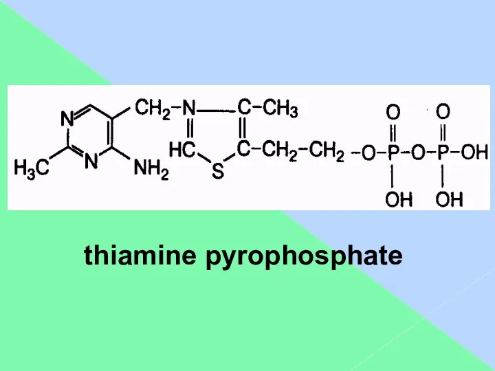 thiamine pyrophosphate