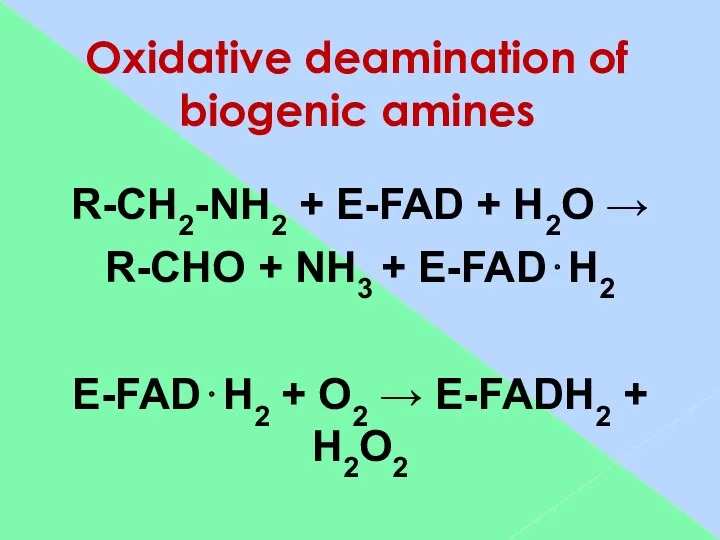 Oxidative deamination of biogenic amines R-CH2-NH2 + E-FAD + H2O