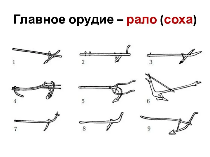 Главное орудие – рало (соха)