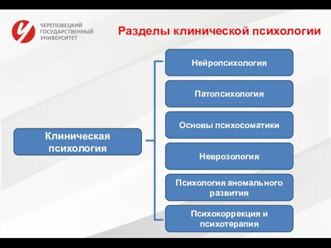 Разделы клинической психологии Клиническая психология Патопсихология Основы психосоматики Неврозология Психология аномального развития Психокоррекция и психотерапия Нейропсихология