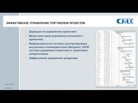 ЭФФЕКТИВНОЕ УПРАВЛЕНИЕ ПОРТФЕЛЕМ ПРОЕКТОВ Дирекция по управлению проектами Матричная схема