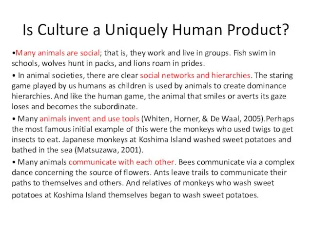 Is Culture a Uniquely Human Product? •Many animals are social; that is, they