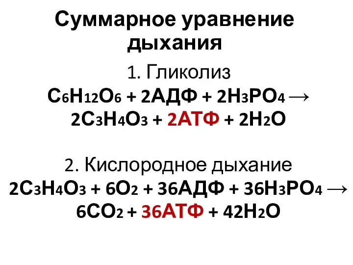 1. Гликолиз С6Н12О6 + 2АДФ + 2Н3РО4 → 2С3Н4О3 +