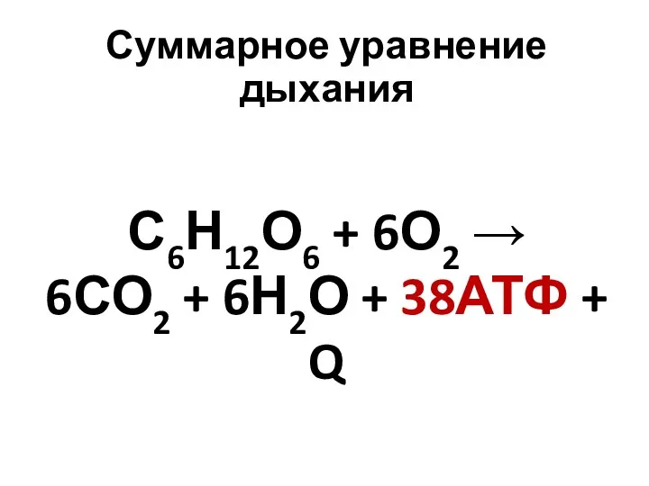 Суммарное уравнение дыхания С6Н12О6 + 6О2 → 6СО2 + 6Н2О + 38АТФ + Q