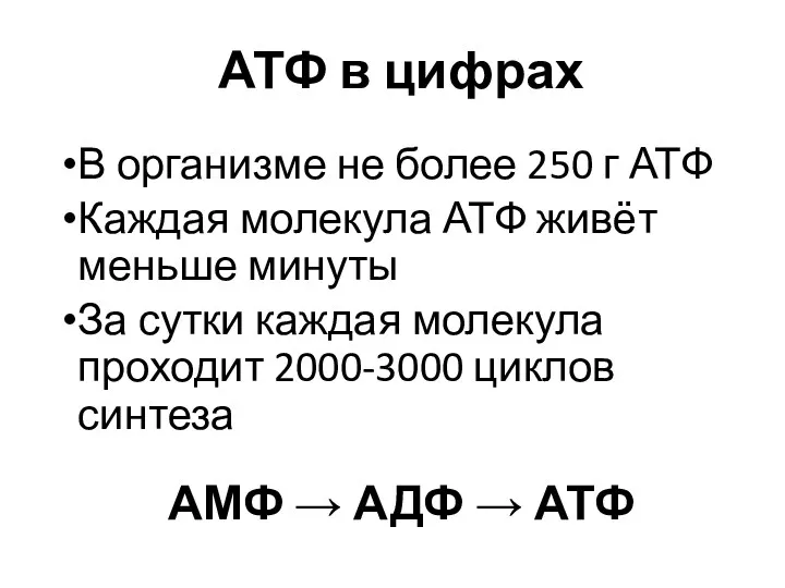 АТФ в цифрах АМФ → АДФ → АТФ В организме