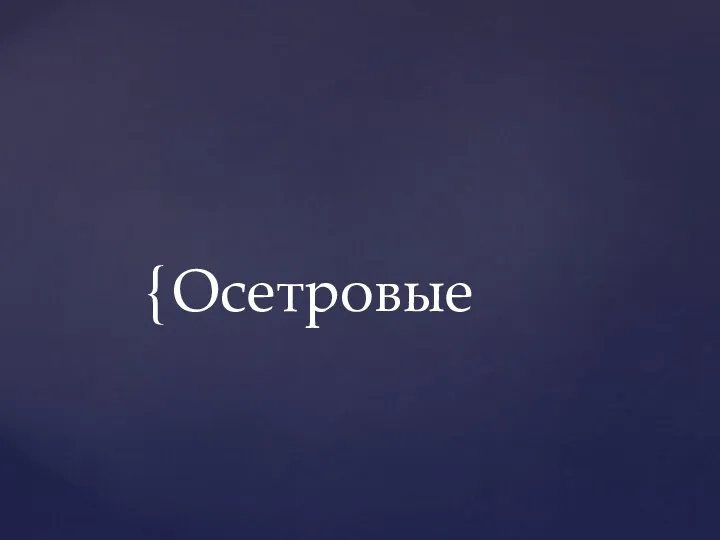 Осетровые