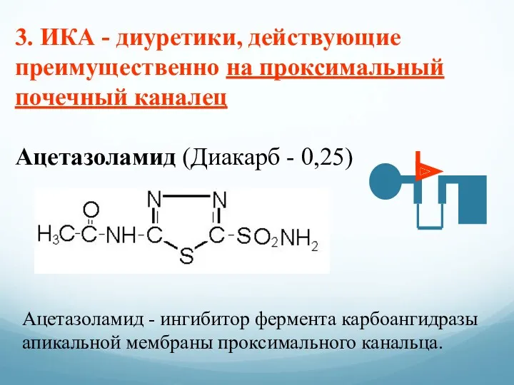 3. ИКА - диуретики, действующие преимущественно на проксимальный почечный каналец