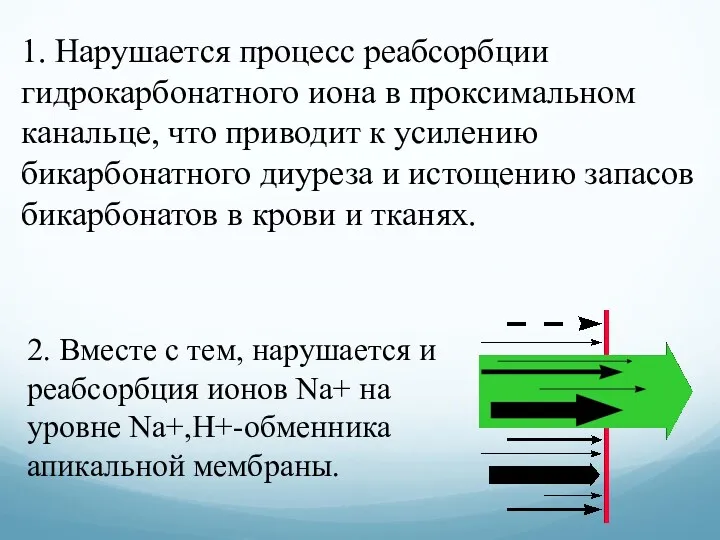 1. Нарушается процесс реабсорбции гидрокарбонатного иона в проксимальном канальце, что