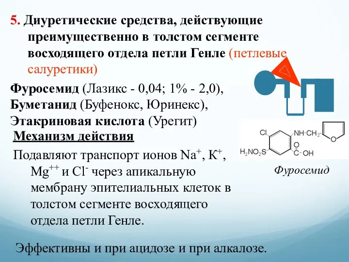 5. Диуретические средства, действующие преимущественно в толстом сегменте восходящего отдела