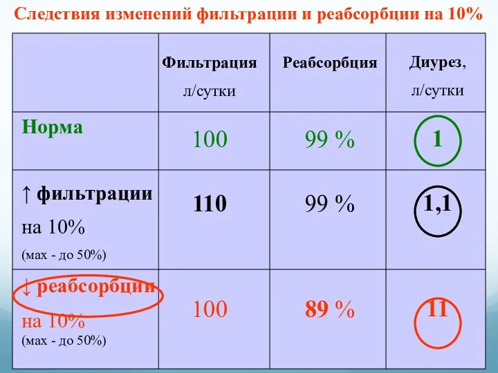 Норма ↑ фильтрации на 10% (мах - до 50%) ↓