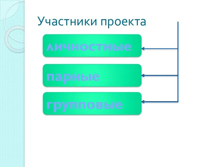 Участники проекта