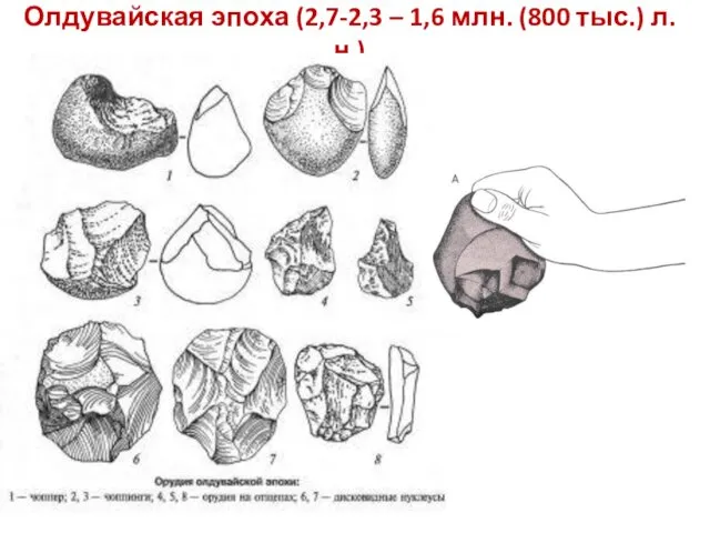 Олдувайская эпоха (2,7-2,3 – 1,6 млн. (800 тыс.) л.н.)