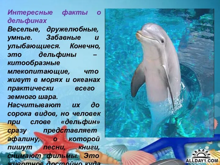 Интересные факты о дельфинах Веселые, дружелюбные, умные. Забавные и улыбающиеся. Конечно, это дельфины