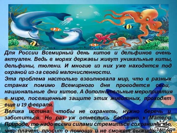 Для России Всемирный день китов и дельфинов очень актуален. Ведь в морях державы