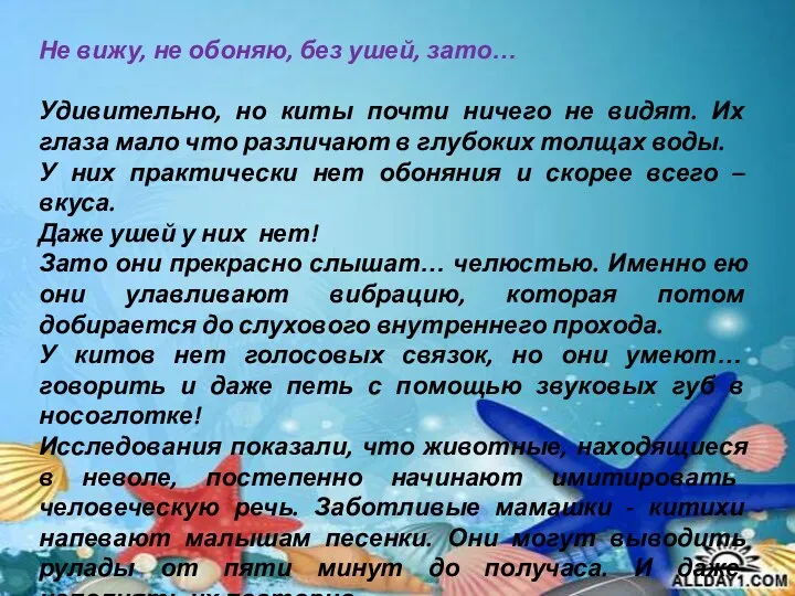 Не вижу, не обоняю, без ушей, зато… Удивительно, но киты почти ничего не