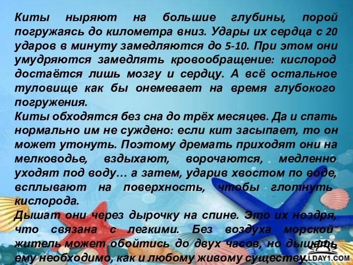 Киты ныряют на большие глубины, порой погружаясь до километра вниз. Удары их сердца