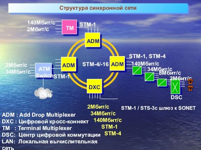 2Мбит/с 34Мбит/с 140Мбит/с STM-1 STM-4 STM-1 / STS-3c шлюз к