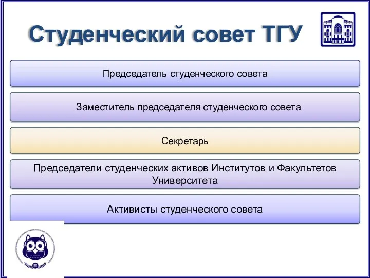 Студенческий совет ТГУ Председатель студенческого совета Заместитель председателя студенческого совета