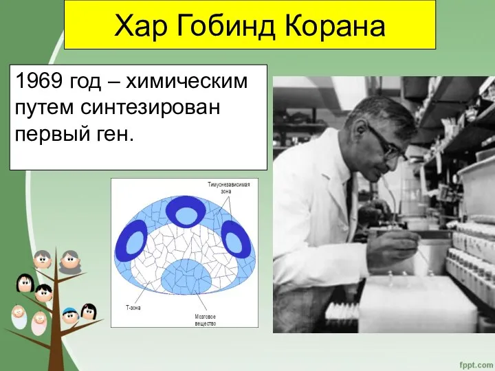 Хар Гобинд Корана 1969 год – химическим путем синтезирован первый ген.