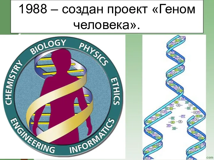 1988 – создан проект «Геном человека».