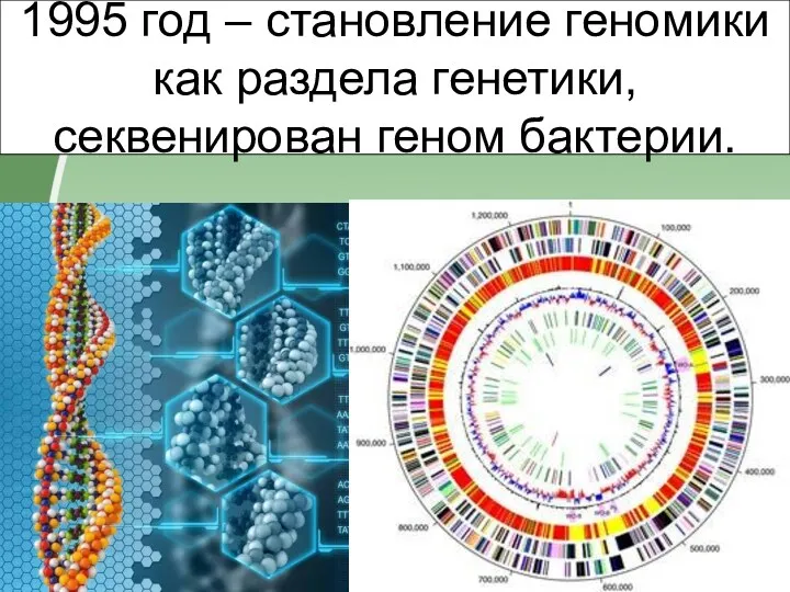 1995 год – становление геномики как раздела генетики, секвенирован геном бактерии.