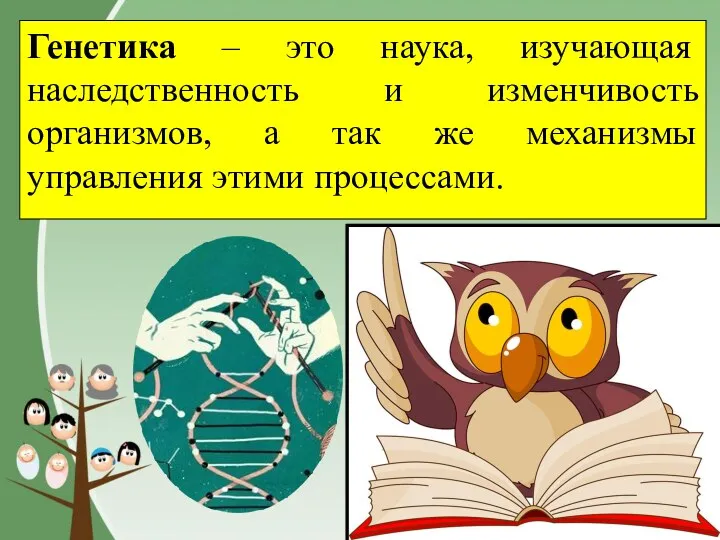 Генетика – это наука, изучающая наследственность и изменчивость организмов, а так же механизмы управления этими процессами.