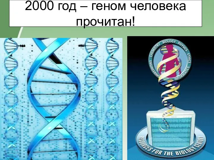 2000 год – геном человека прочитан!