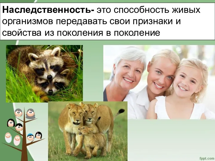 Наследственность- это способность живых организмов передавать свои признаки и свойства из поколения в поколение