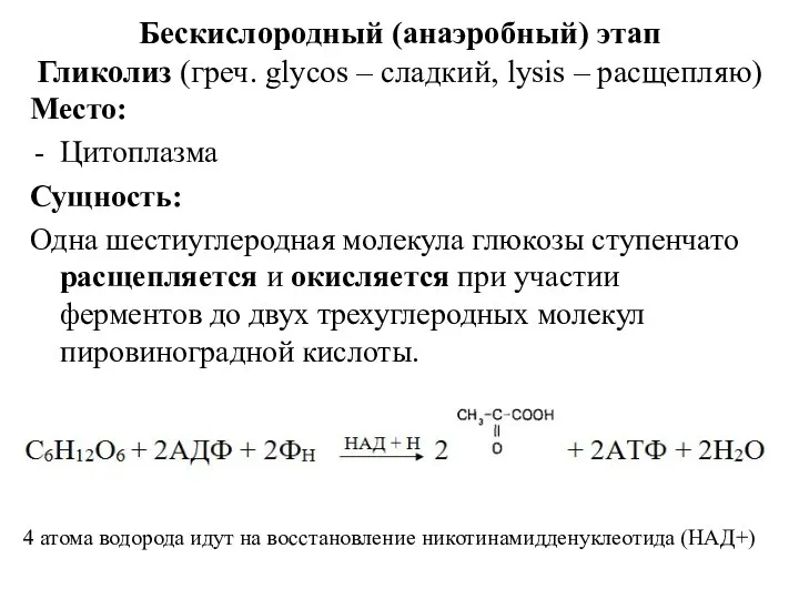 Бескислородный (анаэробный) этап Гликолиз (греч. glycos – сладкий, lysis –