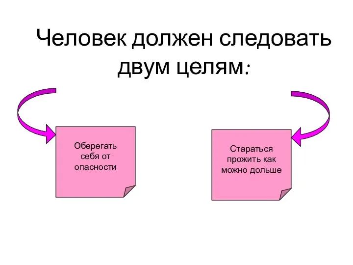 Человек должен следовать двум целям: Оберегать себя от опасности Стараться прожить как можно дольше