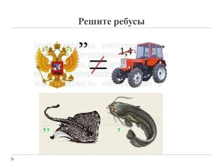 Решите ребусы