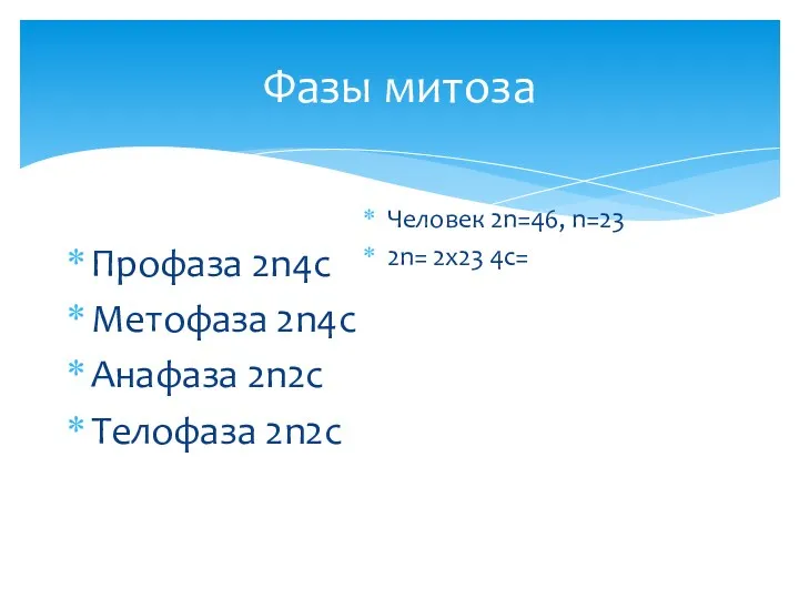 Фазы митоза Профаза 2n4c Метофаза 2n4c Анафаза 2n2c Телофаза 2n2c Человек 2n=46, n=23 2n= 2х23 4c=