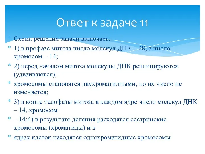 Схема решения задачи включает: 1) в профазе митоза число молекул