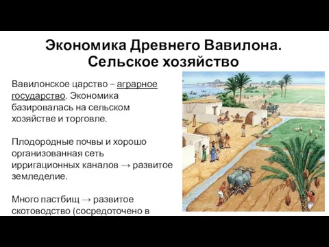 Экономика Древнего Вавилона. Сельское хозяйство Вавилонское царство – аграрное государство.