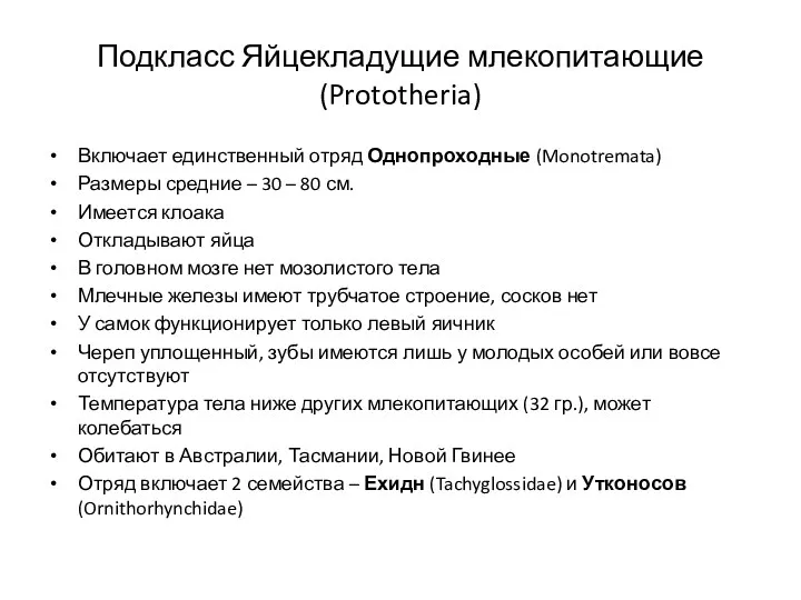 Подкласс Яйцекладущие млекопитающие (Prototheria) Включает единственный отряд Однопроходные (Monotremata) Размеры