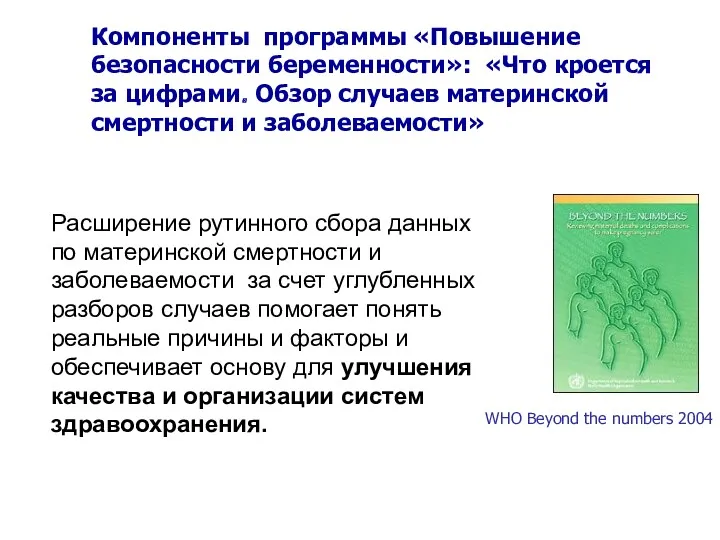 Компоненты программы «Повышение безопасности беременности»: «Что кроется за цифрами. Обзор